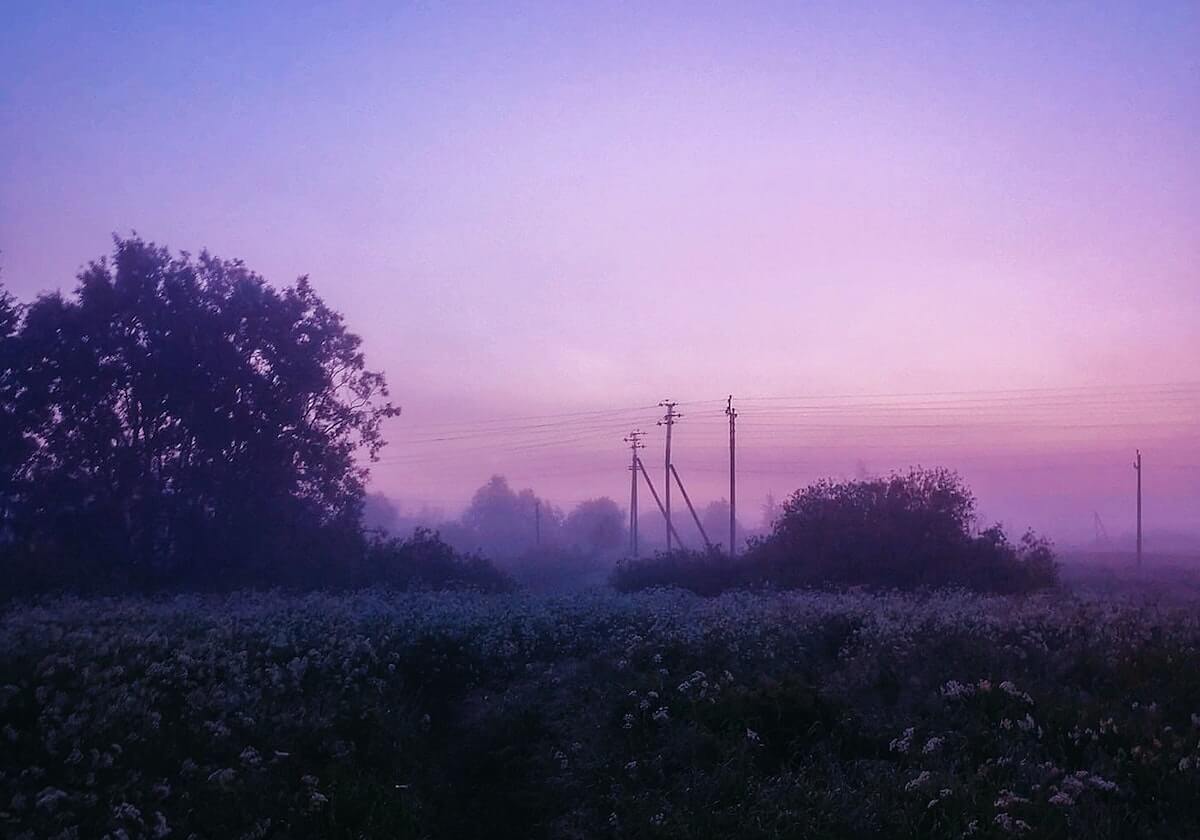 新葡萄8883官网：用体验说话，带你走进数字世界的甜美果园